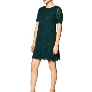 NWOT Lark & Ro Green Lace Shift Dress Size S